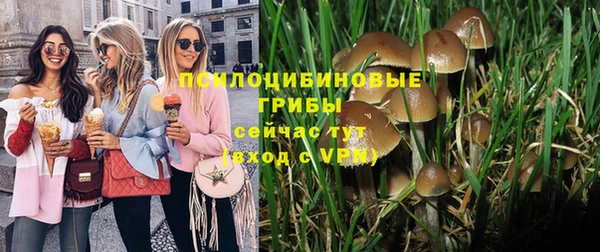 соль ск Бородино