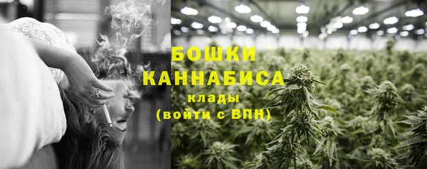 соль ск Бородино