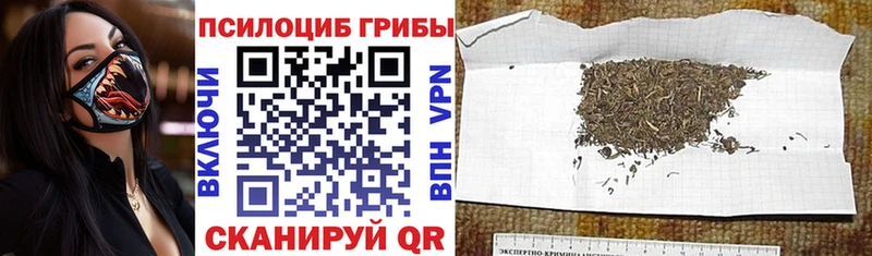 Псилоцибиновые грибы ЛСД где купить ссылка на мегу вход Рошаль